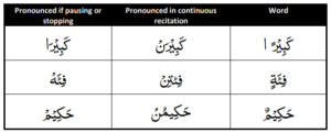 Rules Of Noon Saakin And Tanween - Quranmyway Website